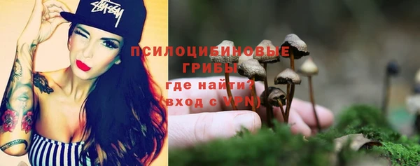 соль ск Абдулино