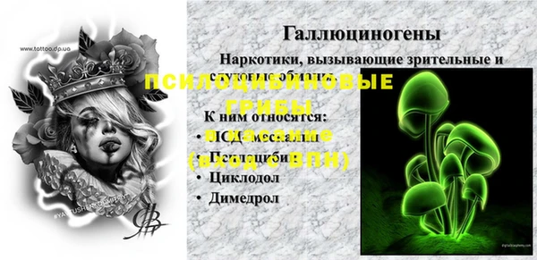 МДПВ Абаза