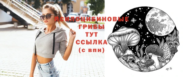 МДПВ Абаза