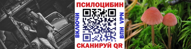 магазин продажи наркотиков Дербент Псилоцибиновые грибы Psilocybine cubensis